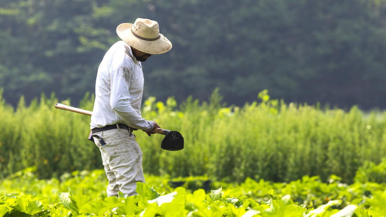 Lincoln officials announce plan to boost local food production